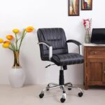 Galaxy Art Ergonomic Desk Chair with Medium Back and Soft Armrests